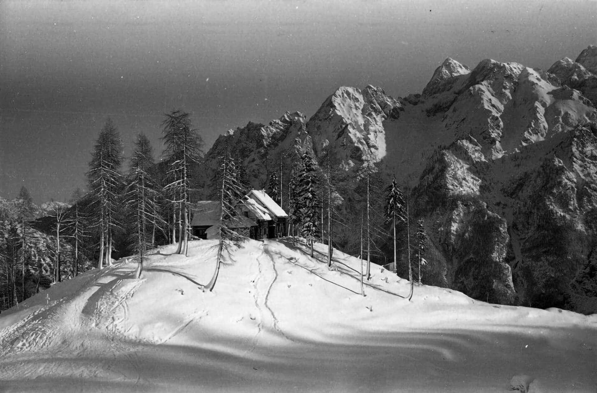 Winter Wonderland in the High Mountains