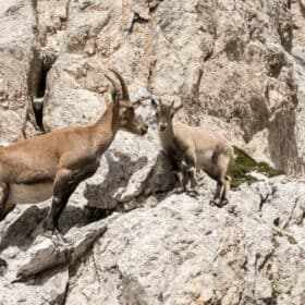 Julijske Alpe - Kraljevina Zlatoroga