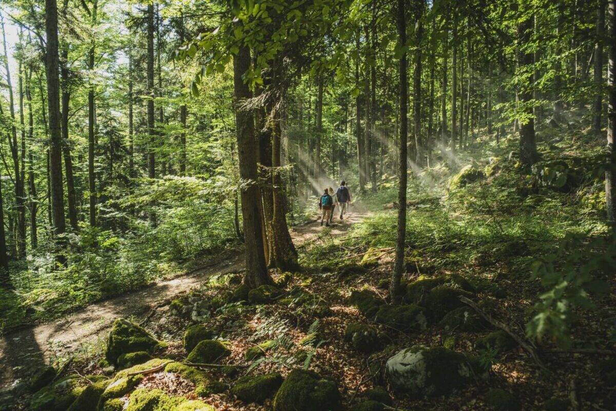 Slovenija Kjer se začne pustolovščina