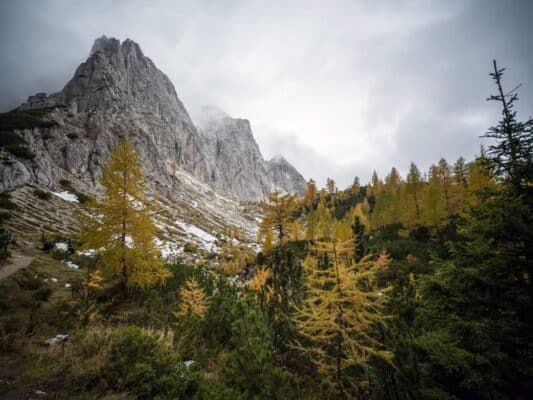 Erjavčeva koča - Slemenova špica - Sleme