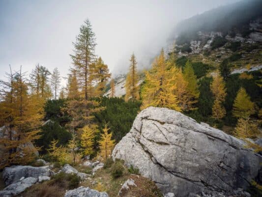 Erjavčeva koča - Slemenova špica - Sleme