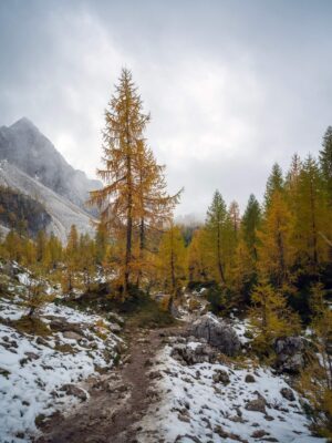 Erjavčeva koča - Slemenova špica - Sleme