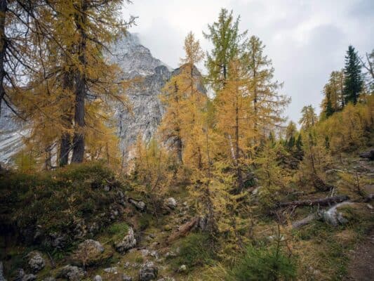 Erjavčeva koča - Slemenova špica - Sleme