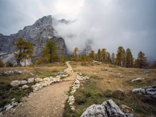 Skala z markacijo pred gozdom in gorami, pohodniška pot v bližini Erjavčeve koče, Slovenija.
