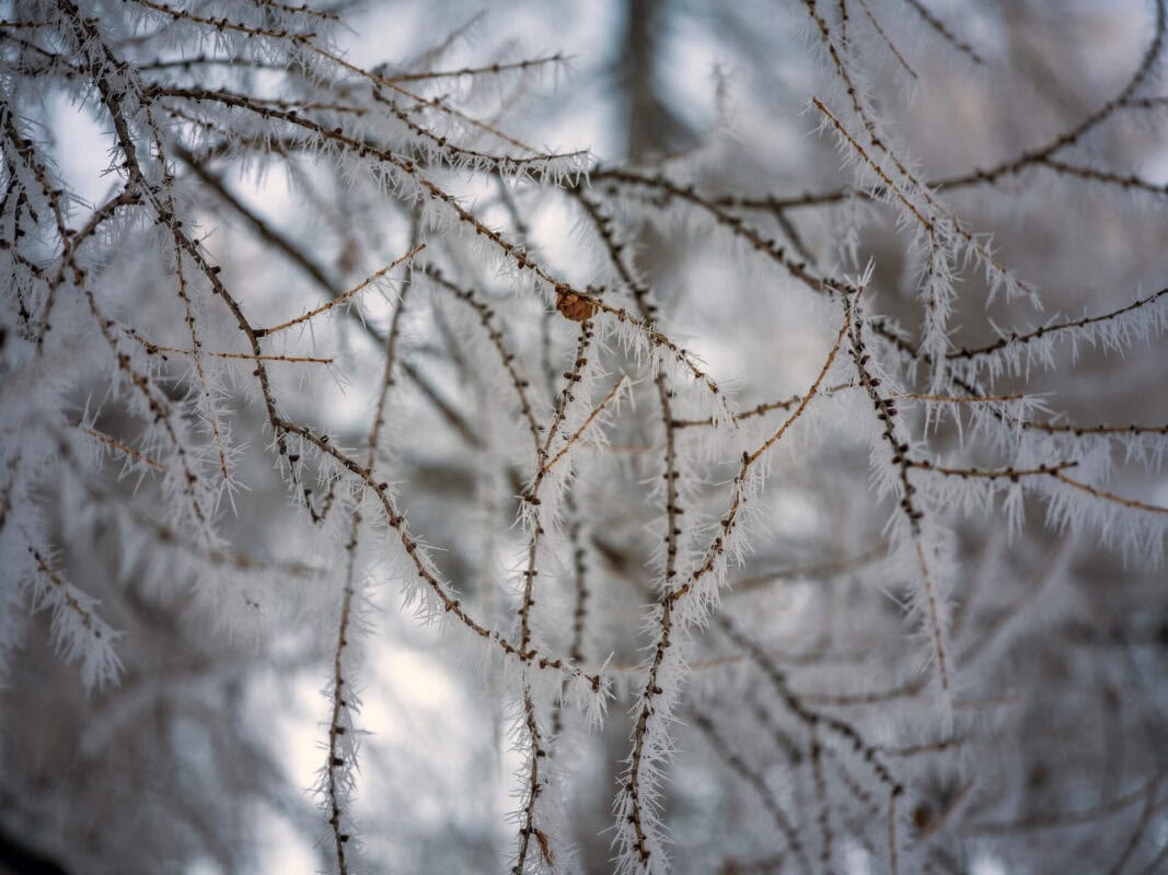 Zakaj pozimi obiskati prelaz Vršič v Sloveniji v bližini Kranjske Gore?